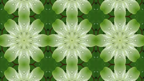 mandala verde con patrón de caleidoscopio y fondo clásico