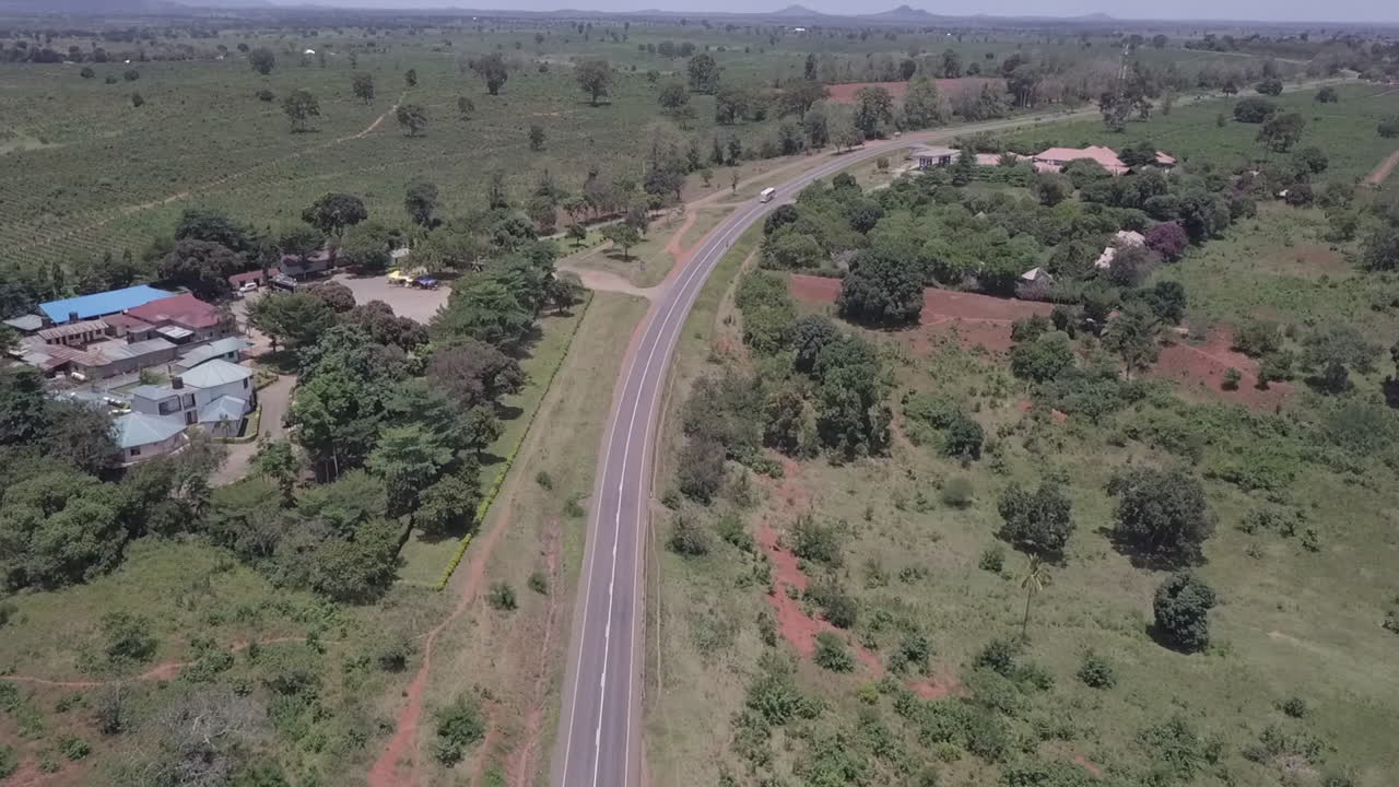 Aerea: Grande piantagione di ananas lungo un'autostrada curvilinea nell'Africa orientale.