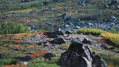 una vista serena de la montaña con un cairn de piedra, plantas coloridas y terreno rocoso en primer plano