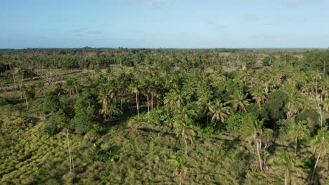 aerial view of tonga, polynesia