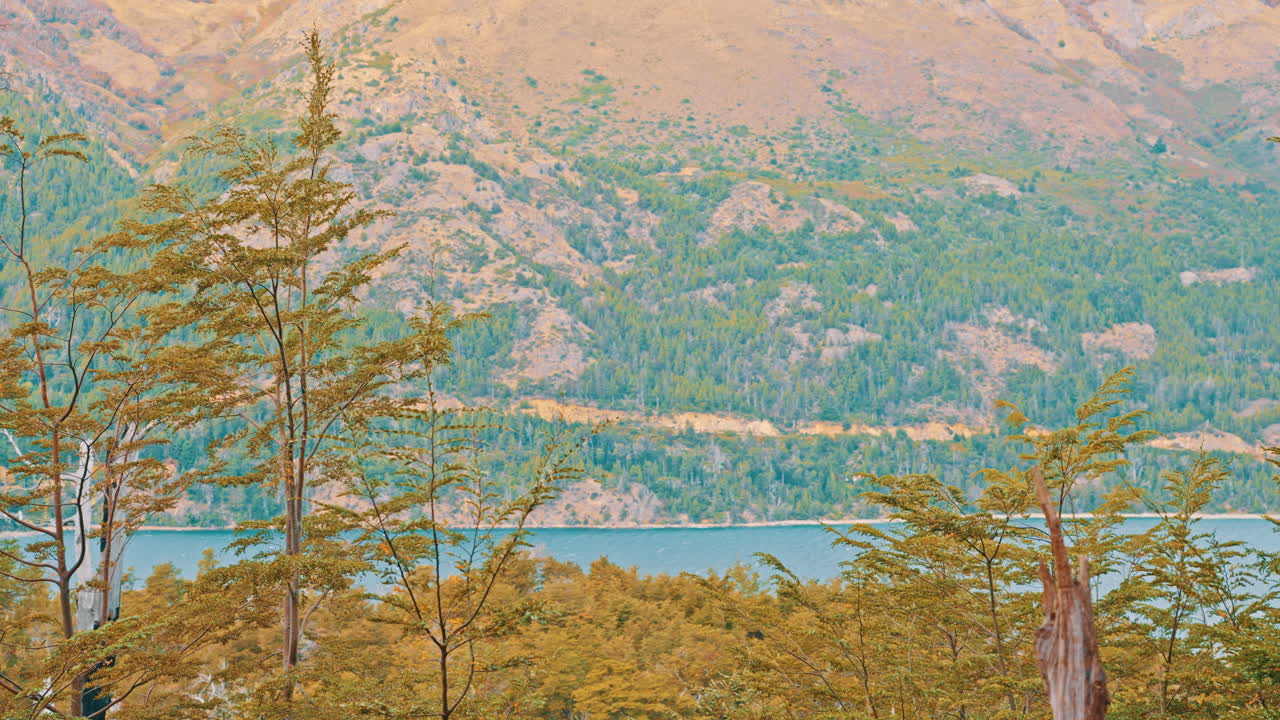 揺れる木々がある山、湖、森の景観