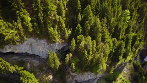 Un-Dron-Mavic-Nos-Muestra-Una-Montaña-Cubierta-De-Abetos-Vista-Desde-El-Cielo