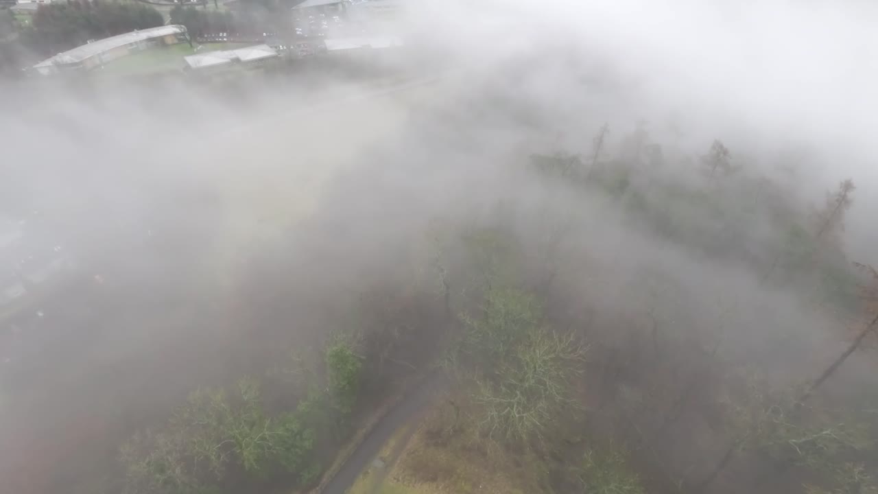 스털링의 월리스 기념비 아래 숲을 덮고 있는 짙은 안개의 정적 샷