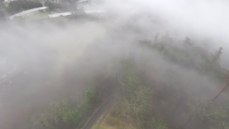 static shot of heavy fog covering the forest below the wallace monument in stirling