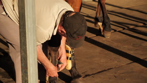 hombre aplicando botas de férula a caballo