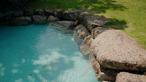 serene-rock-bordered-pond-with-clear-blue-water,-set-in-a-lush-green-garden