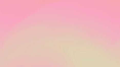 pink, peach, and skin-colored multicolored motion gradient background