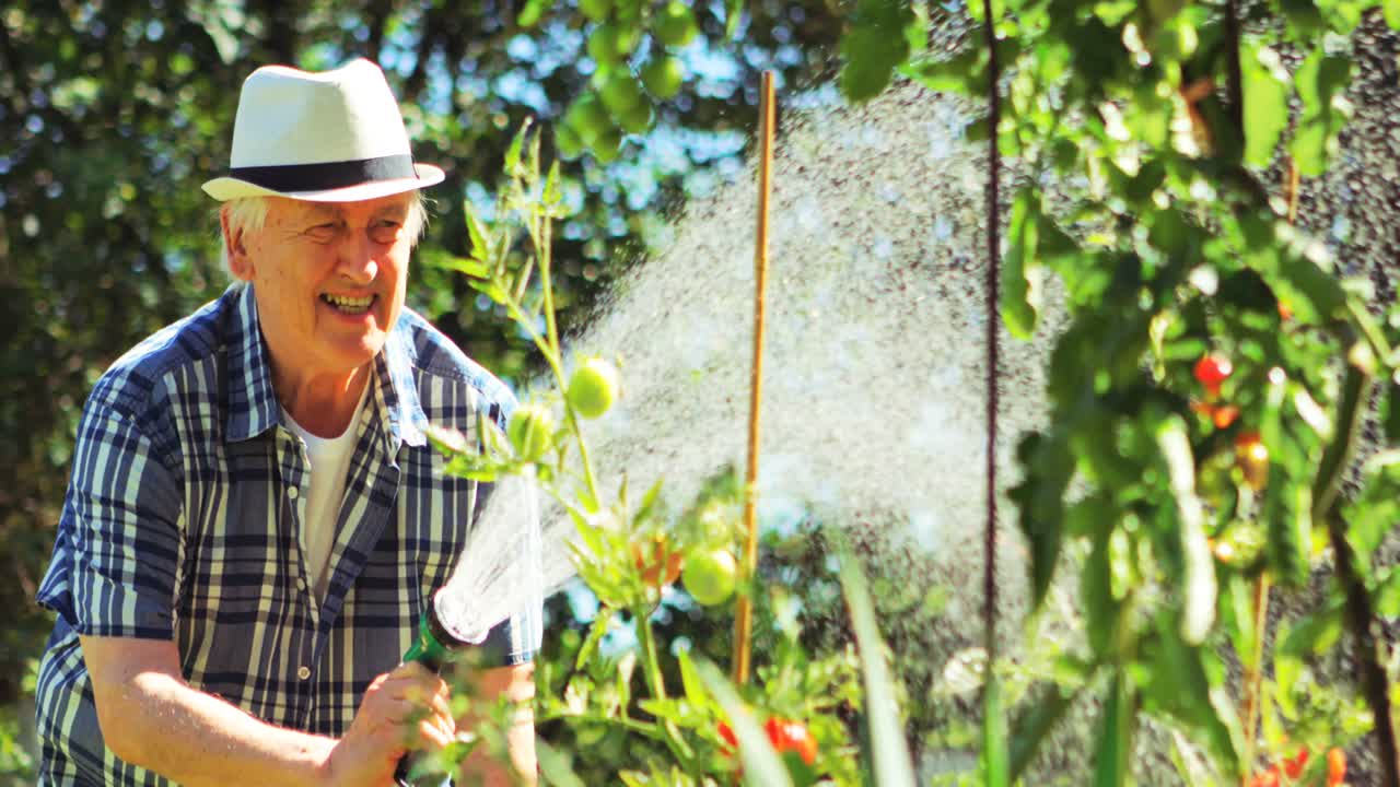 hombre mayor rociando agua en la planta