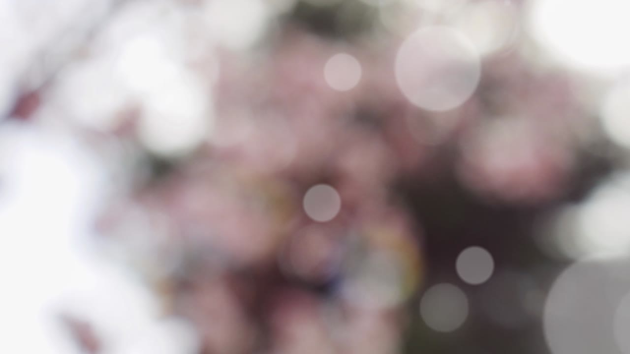 보케와 함께 추상적인 스프링 배경