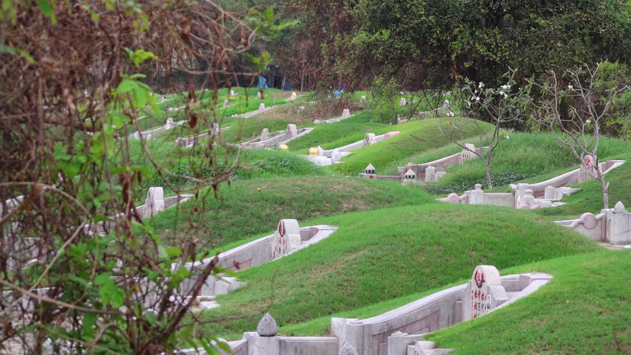 Uccelli in volo sopra un tranquillo paesaggio cimiteriale