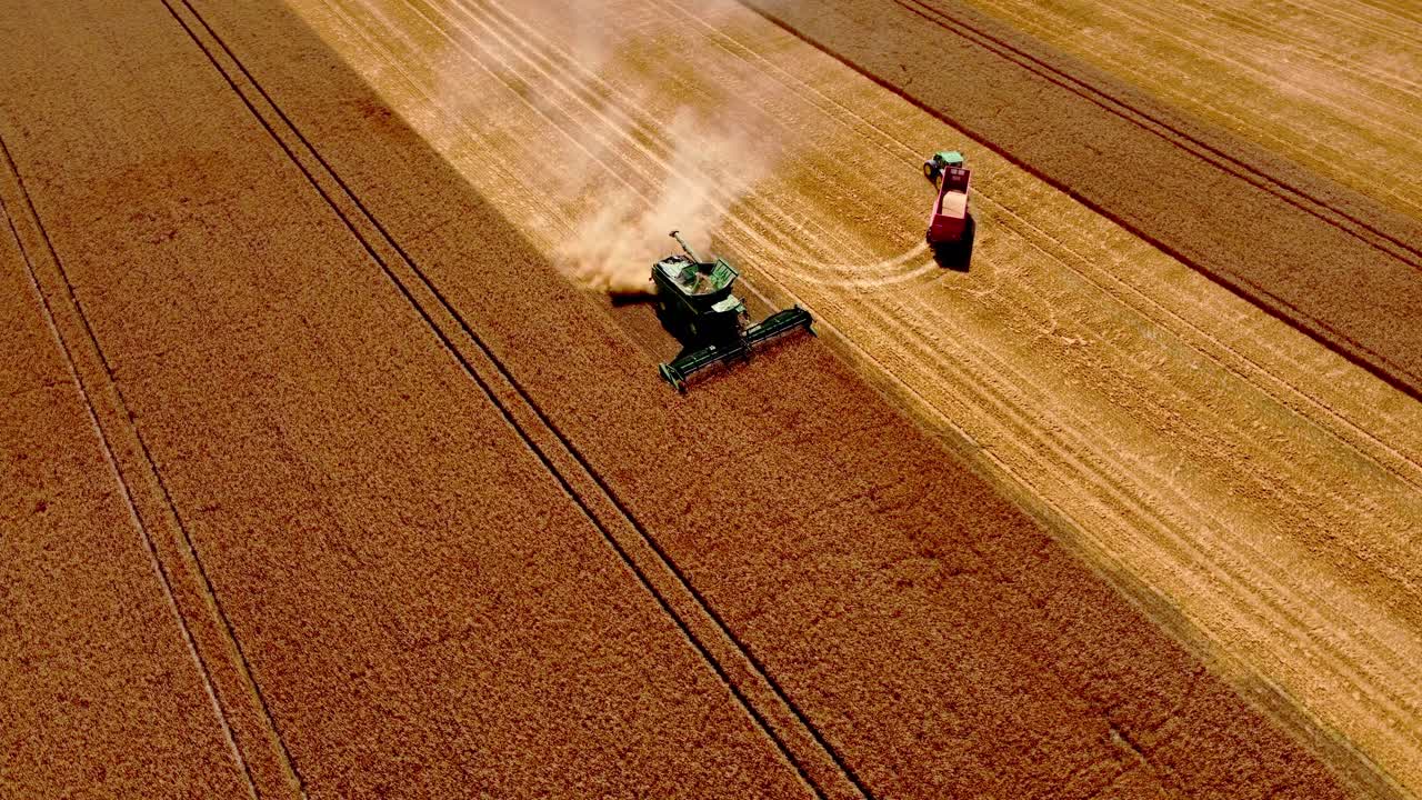 Tempo di raccolto, agricoltori nel campo che raccolgono usando mietitrebbie e rimorchi
