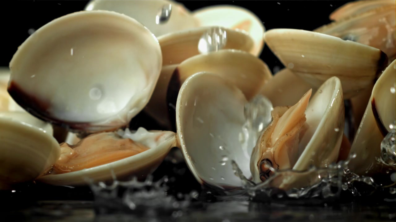 Slow Motion Water Splashing on Fresh Clams