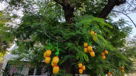 Artificial plastic mango fruits tied on green tree for marketing near fruit store Full HD