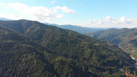 über-Einen-Bergigen-Wald-Fliegen