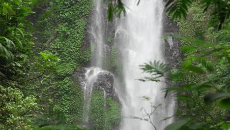 munduk melanting waterfall nature bali island water cascade up-close jungle nature