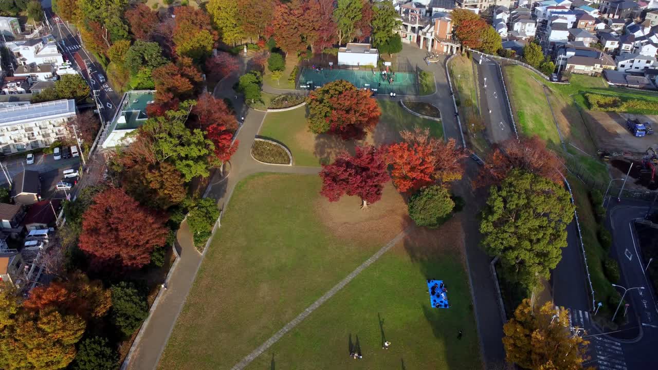 un parque vibrante con follaje de otoño y vecindario adyacente, vista aérea