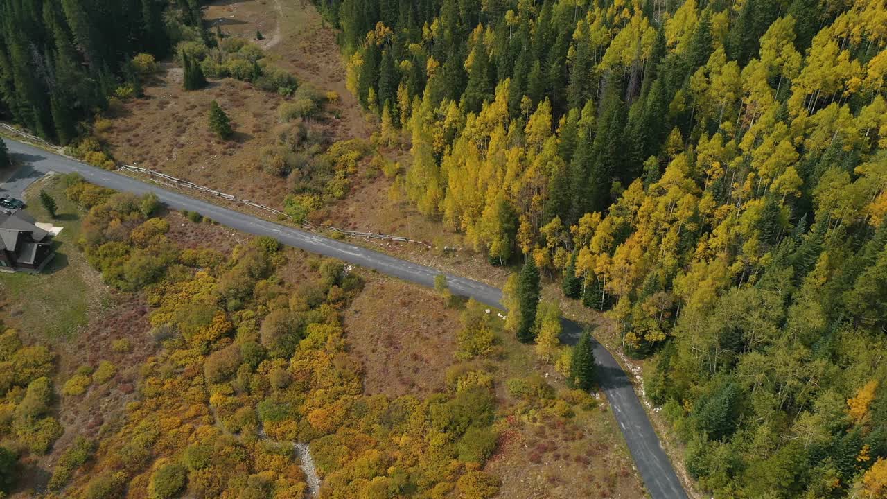 paisaje amarillo verde en la campiña de colorado, ee.uu.