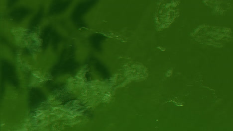 animation of moving and changing green texture and copy space on black background