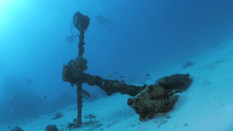 a historic first fleet anchor sits upright deep below the ocean surface at lady elliot island