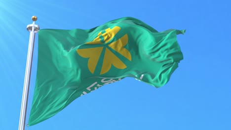 bandera de daejeon, ciudad de corea del sur, bucle