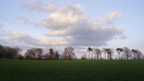 Static-golden-hour-shot-of-a-field-on-a-farm-with-a-cloud-in-centre-frame