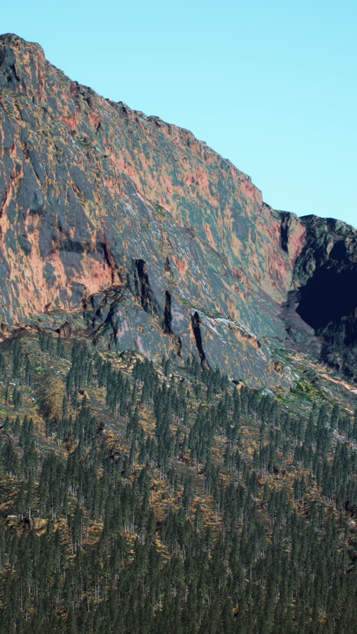 높은 소나무 가 있는 산맥