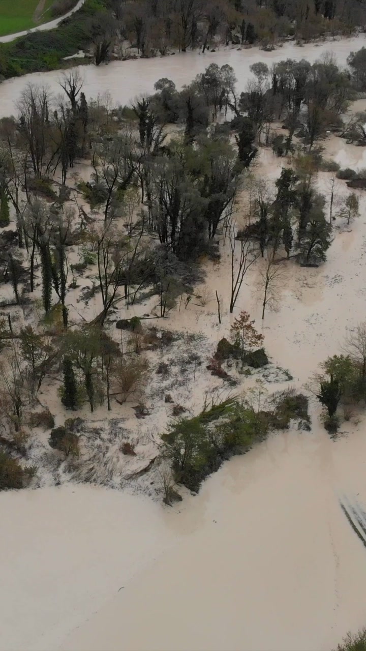 aerial shot of flooded forest near brown river, drone moving forward, vertical