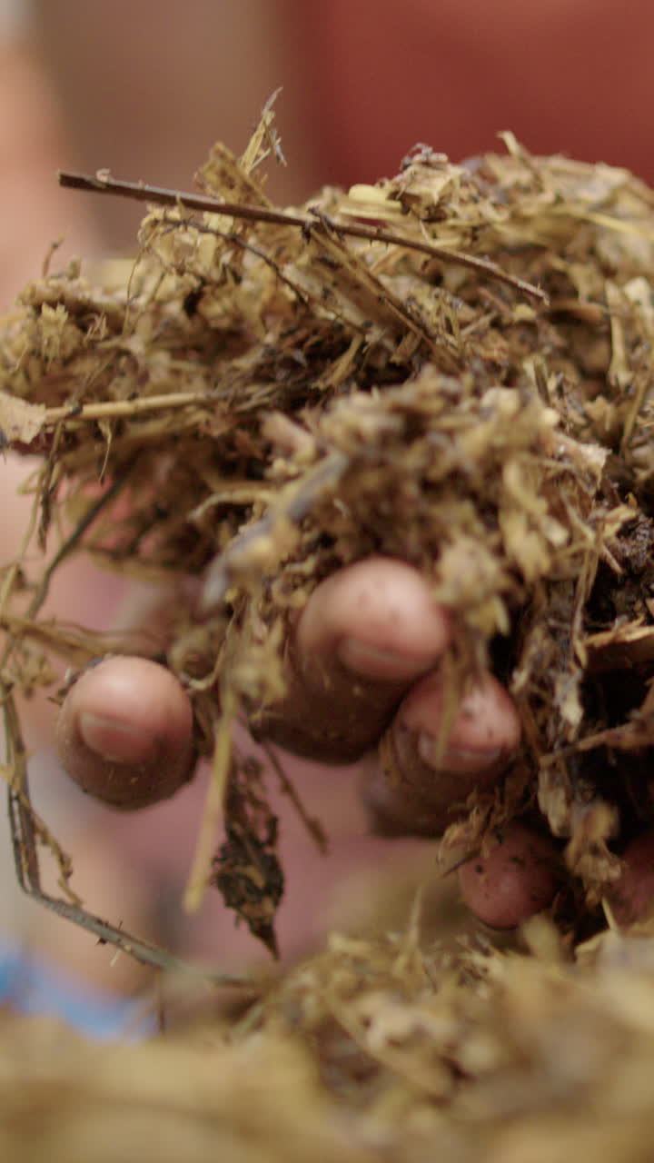 Grassy compost is picked up and inspected, panning vertical
