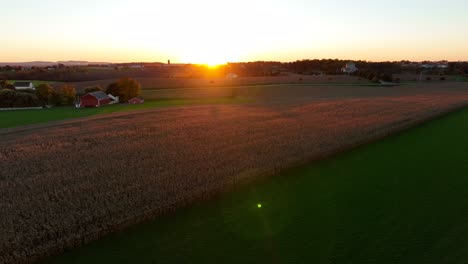 rural usa with grain wheat and corn alfalfa fields at sunset in autumn harvest season