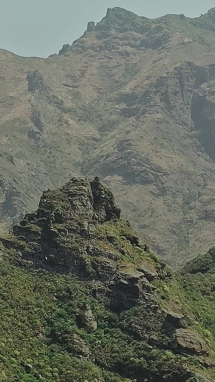 Vista sulle montagne verdi sull'isola di Tenerife, in Spagna, durante il giorno