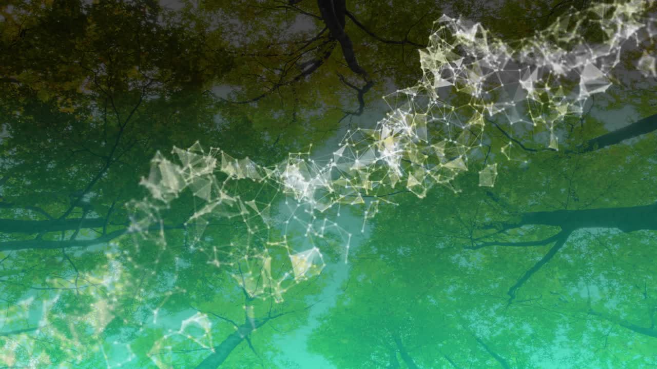 Debole mesh poligonale che appare in basso a sinistra, scorrendo verso l'alto sopra la chioma della foresta per rappresentare il flusso di dati.