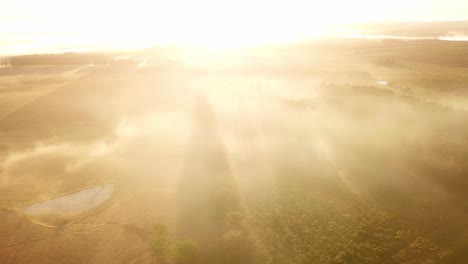 Early-morning-mist,-grasslands,-rainforest-and-pine-trees-just-after-sunrise