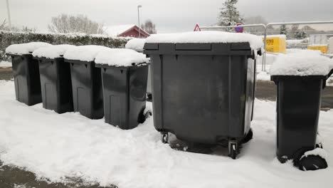 garbage cans are standing in the snow in winter