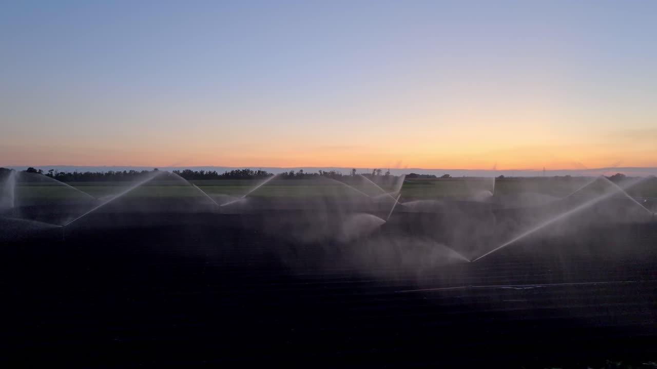Sistema di irrigazione che irriga colture agricole al tramonto - ripresa con drone.