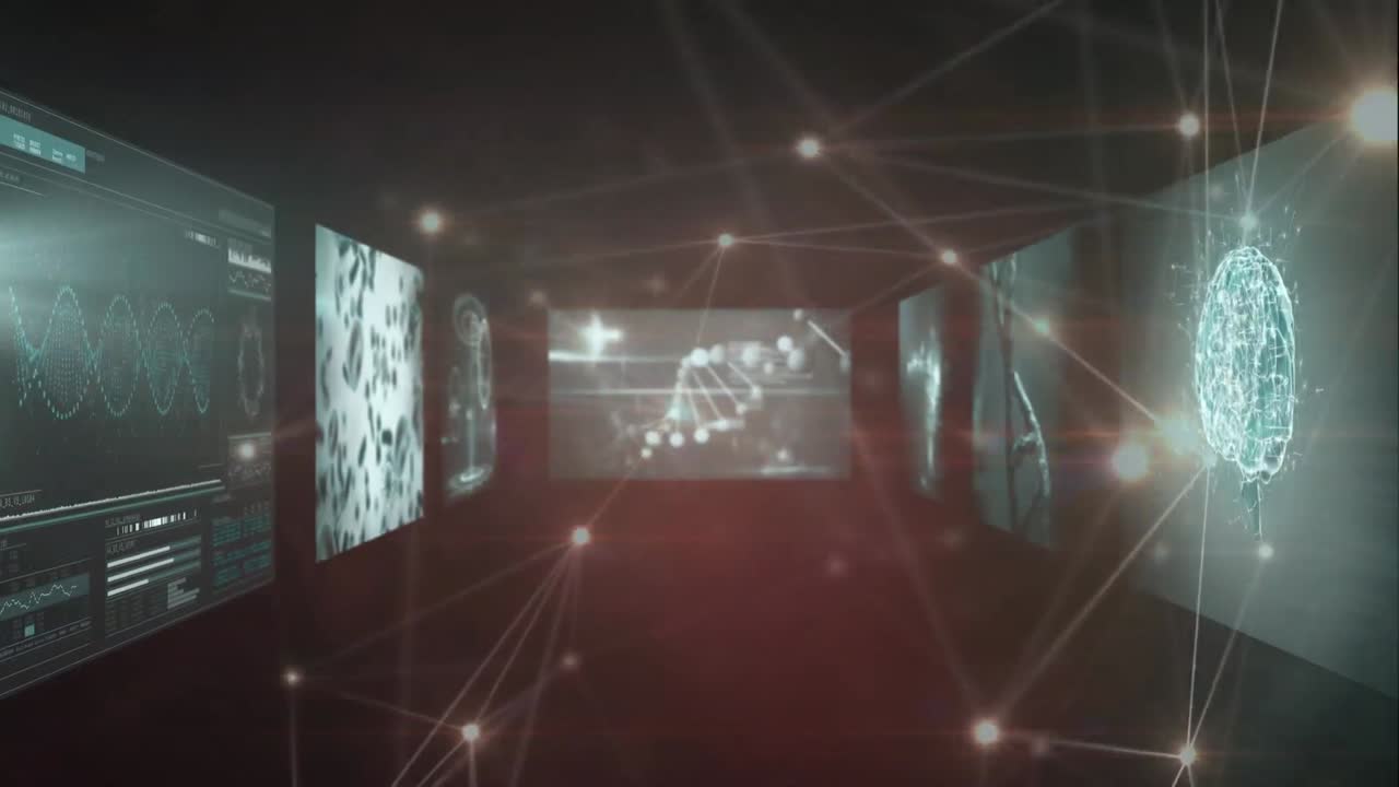 animación de la red de conexiones a través del procesamiento de datos