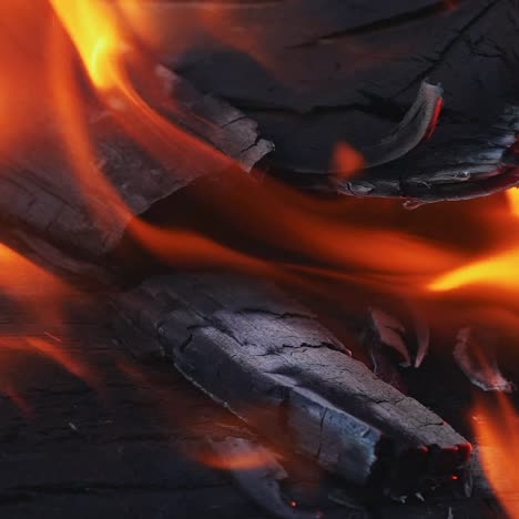 fire. closeup of pile of wood burning with flames. slow motion