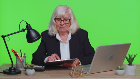 senior businesswoman director having interview job discussion, video conference call at green office