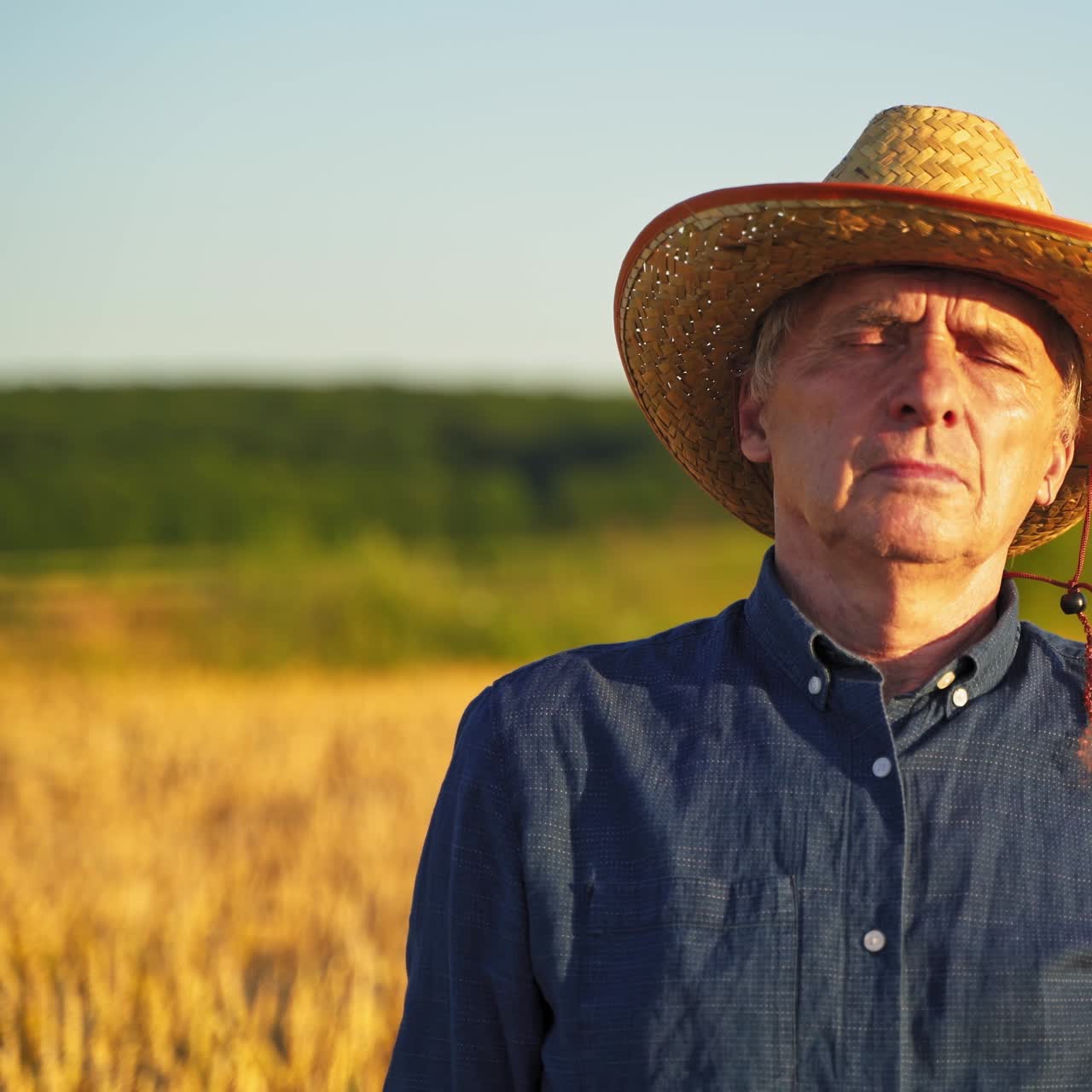 Farmer on organic plantation. Old man in straw hat stand on golden field and looks in the folder. Agronomist analysis the growth of agricultural plants at sunset.