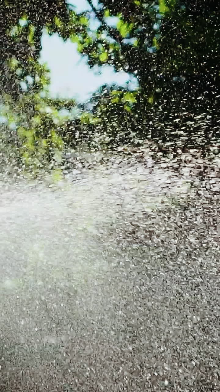 Sprinkler hose for irrigation plants. Close up view of sprinkler spraying water over green garden. Vertical video