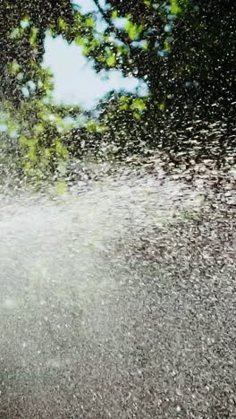 sprinkler hose for irrigation plants. close up view of sprinkler spraying water over green garden. vertical video