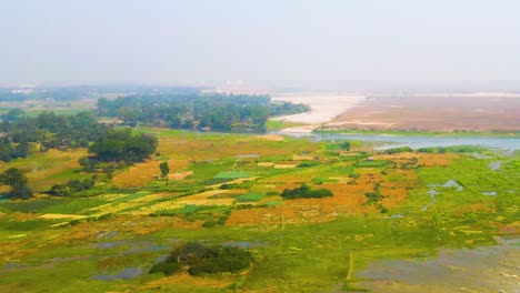 Vista-Aérea-De-Los-Arrozales-En-Los-Humedales-De-Bangladesh