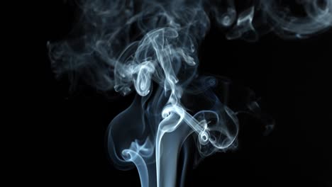 el humo gris en el fondo negro del avión se eleva. el humo se disipa.