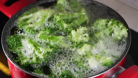 Broccoli Boiling in Pot