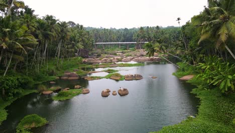 una encantadora toma aérea de un dron del bosque de kerala, con el flujo sereno de un río y interminables cocoteros.