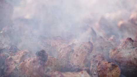 pig meat bbq with spices and herbs in burning charcoals on a grid, close-up shot