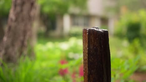 Primer-Plano-Estático-De-Una-Fuente-De-Agua-En-El-Patio-Delantero-De-Una-Casa.