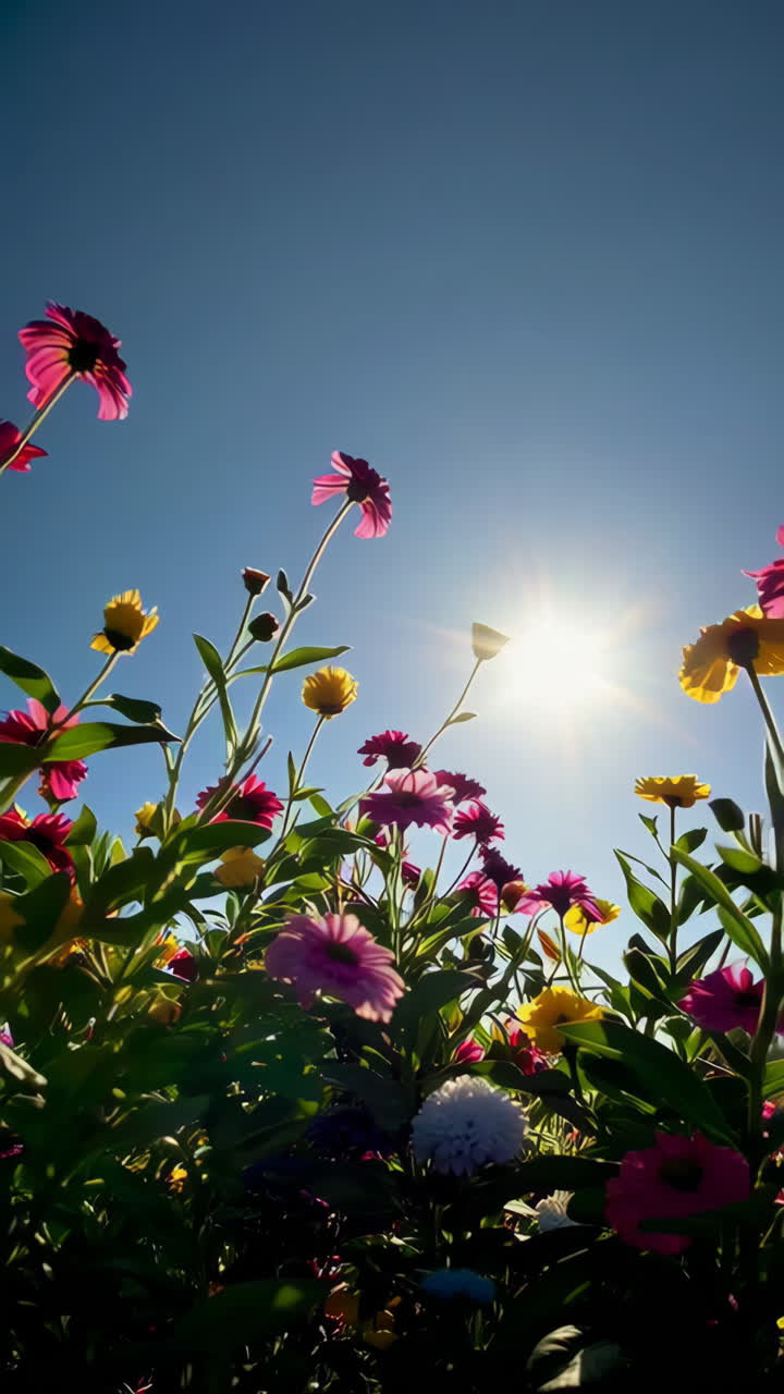 flores coloridas en un jardín