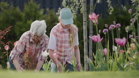 grandmother and granddaughter plant flowers together in the backyard of the house