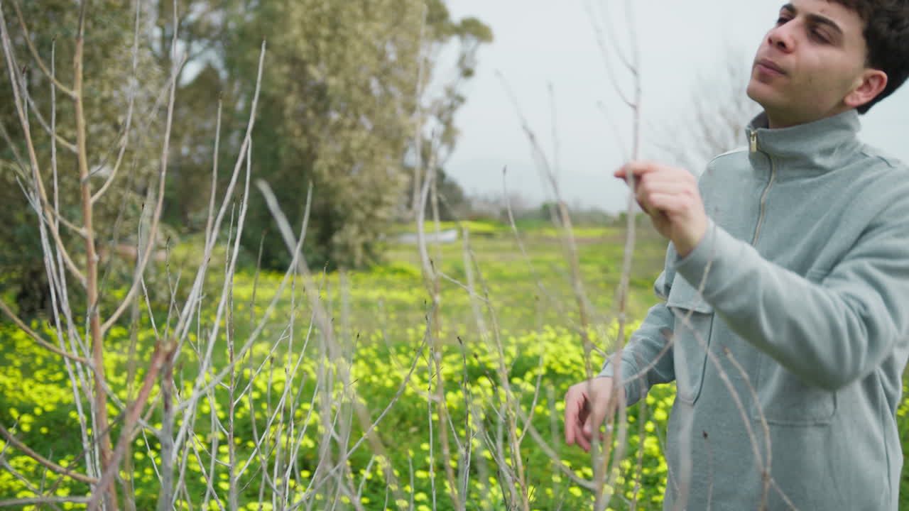 Man Outdoor Looking At A Small Bare Tree Branches