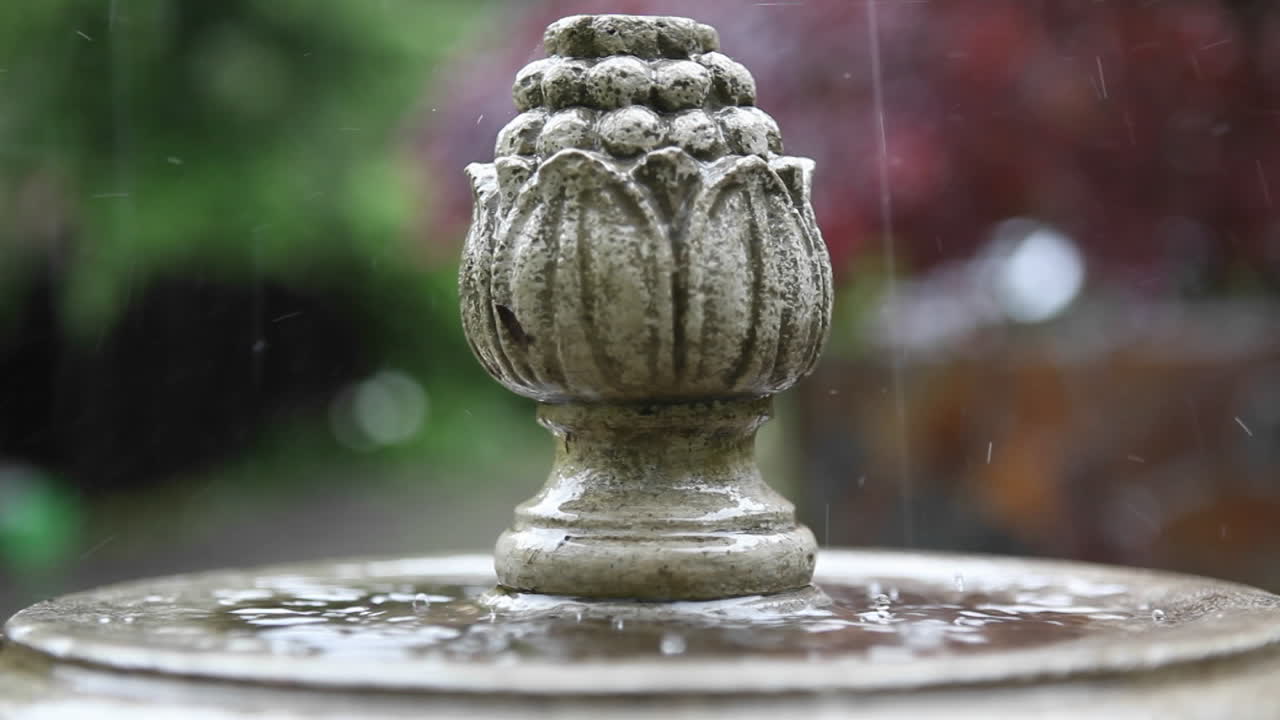 새탕에 비가 내린다